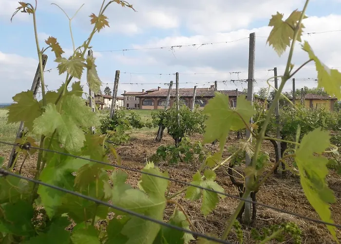 Ama Alloggio per agriturismo Vigolzone